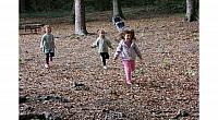 IMG 8698
