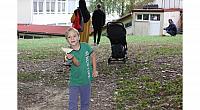IMG 8700