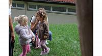 IMG 8703