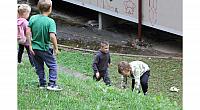 IMG 8716