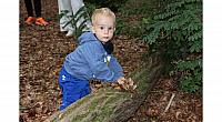 IMG 8730