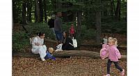 IMG 8732