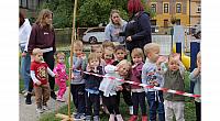 IMG 8751