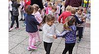 IMG 8861