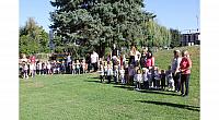 IMG 8424