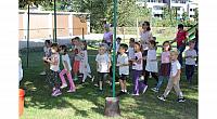 IMG 8427