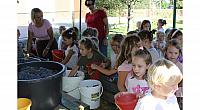 IMG 8430