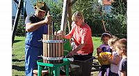IMG 8447