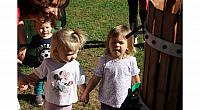 IMG 8449