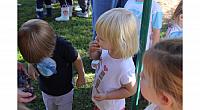 IMG 8451