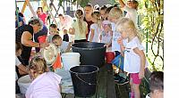 IMG 8462