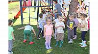 IMG 8464