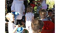 IMG 8482