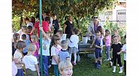 IMG 8485