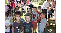 IMG 8494