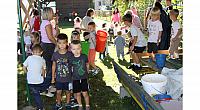 IMG 8500