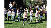 IMG 8517