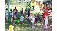 IMG 8524