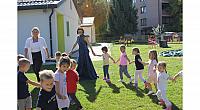 IMG 8536