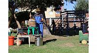 IMG 8543