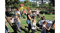 IMG 8546