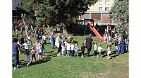 IMG 8556