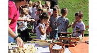 IMG 8572