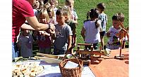 IMG 8573