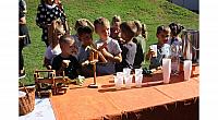 IMG 8575