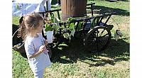 IMG 8586