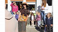 IMG 8908