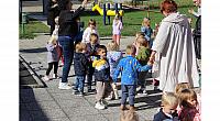 IMG 8982