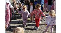 IMG 8997