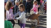 IMG 9008
